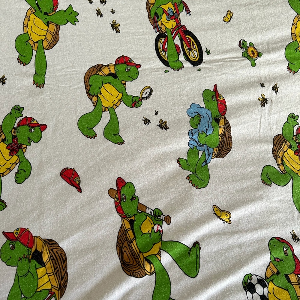 Franklin the Turtle Flannel Sheet 94L x 59W